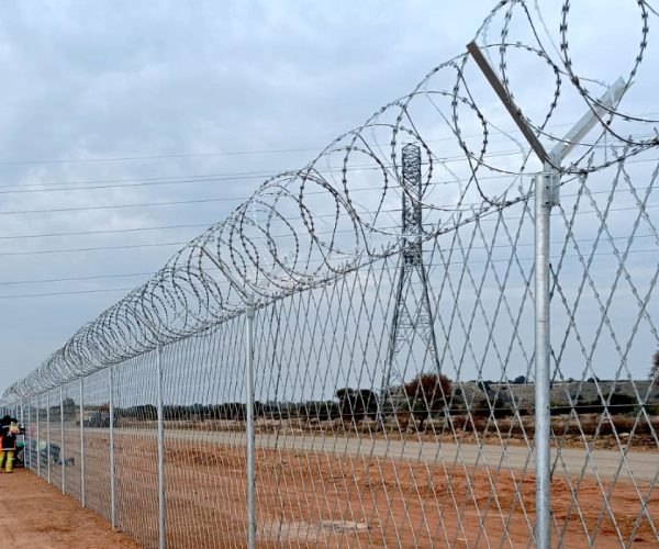 razor-wire-mesh-standard-density-reinforced-with-concertina-coils-as-topping